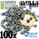 GSW- 100x Crânes Humains en résine