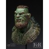 Kit Ragnok, Norse Orc Hero
