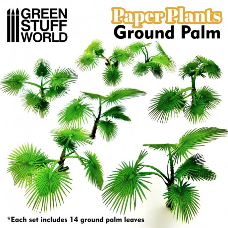 Plantes à Papier - Fougère Pteridium