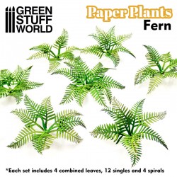 Plantes à Papier - Fougère Pteridium