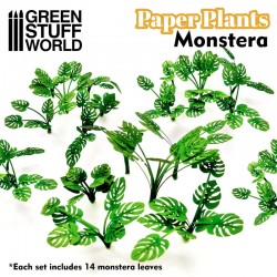 Plantes à Papier - Monstera
