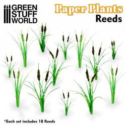 Plantes à Papier - Roseaux