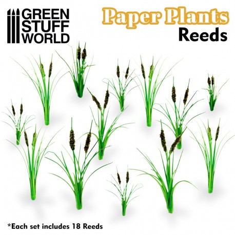 Plantes à Papier - Nenuphars