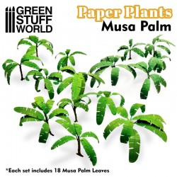 Plantes à Papier - Arbre Musa
