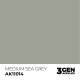 AK - 3eme Gen - Medium Sea Grey 17ml
