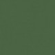 Eclat Vert -  Splinter Green - 77