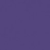 46 - Violet Bleuté - Blue Violet - 51
