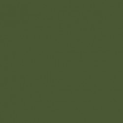 80 - Cam. All. Vert Clair - Ger.Cam. Bright Green - 87