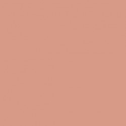 37 - Rose Saumon  - Salmon Rose - 7