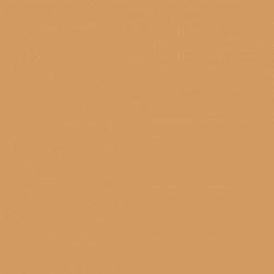 20 - Chair Bronzée - Sunny Skin Tone - 12