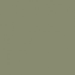 109 - Vert Pastel - FS 34424 - Pastel Green - 97