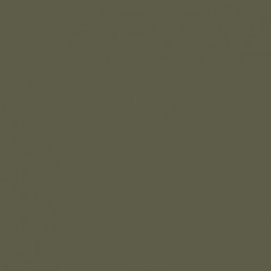 101 - Vert Gris - RLM 02 - Green Grey - 98