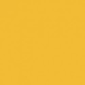 14 - Jaune Intense - RAL 1023 - Deep Yellow - 26