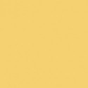 10 - Jaune Clair - Light Yellow - 24