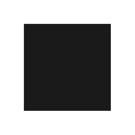 169 - Noir - FS 37038 - RAL 9004 - Black - 191