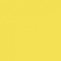 11 - Jaune Citron - RAL 1018 - Lemon Yellow - 25