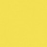 11 - Jaune Citron - RAL 1018 - Lemon Yellow - 25