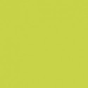 78 - Jaune Vert - Yellow Green - 90