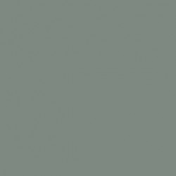 107 - Vert Bleu Pâle - FS 25352 - Light Green Blue - 170