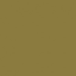 116 - Jaune Camouflage - RAL 1027 - Dark Yellow - 120