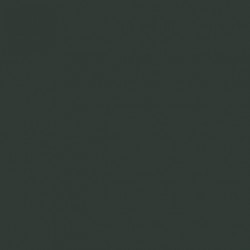 100 - Vert Noir Emp. Russe Chas. - Black Green - 80