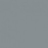 155 - Gris Pâle - FS 36300 - RAL 7001 - Light Grey - 177