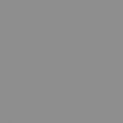 171 - Argent - FS 17178 - Silver - 195