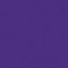 084-Violet - Violet