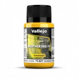 Effet d'environnement moisissure et lichen