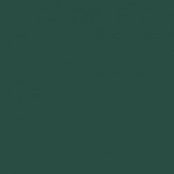 048-Vert Carapace - Scurvy Green