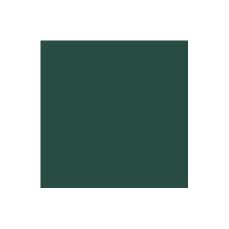 048-Vert Carapace - Scurvy Green