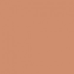 006-Chair Rose - Rosy Flesh