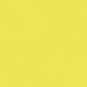 101-Jaune Fluo - Fluorescent Yellow