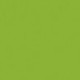 107-Vert Fluo - Fluorescent Green