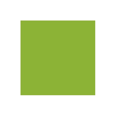 107-Vert Fluo - Fluorescent Green