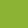 107-Vert Fluo - Fluorescent Green