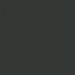 Vert Olive - Olive Green