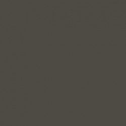 Vert Foncé RLM71 - Dark Green RLM71