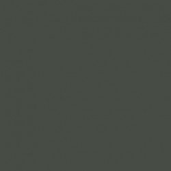 Vert Foncé RAL6007 - Dark Green RAL6007