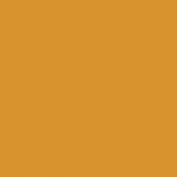 Ocre - Yellow Ochre RAL1006