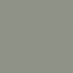 Gris Ciment - Cement Grey