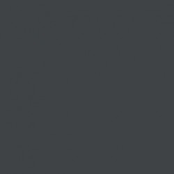 Gris Foncé Panzer RAL7021 - Panzer Dark Grey RAL7021