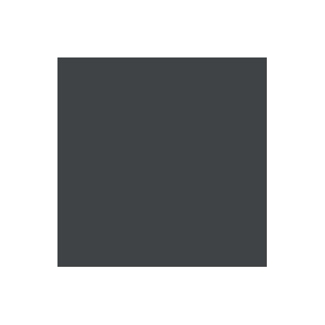 Gris Foncé Panzer RAL7021 - Panzer Dark Grey RAL7021