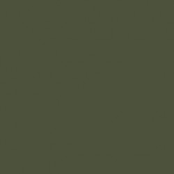 Vert Moyen - Medium Olive RAL6003