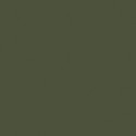 Vert Moyen - Medium Olive RAL6003
