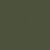 Vert Moyen - Medium Olive RAL6003