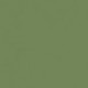 Vert Pâle - Pale Green