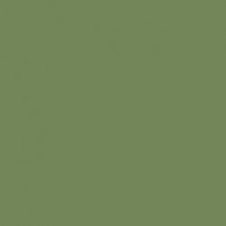 Vert Pâle - Pale Green