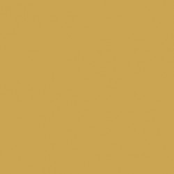 Jaune intérieur US - US Interior Yellow