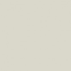 Blanc gris - White Grey RAL9002